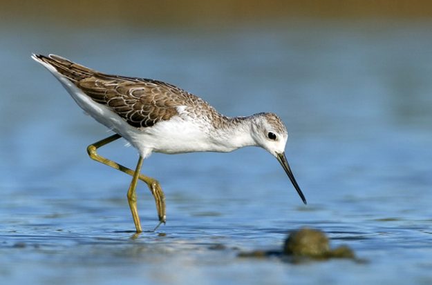 118676043.BdQTdVl8.IMG_6703