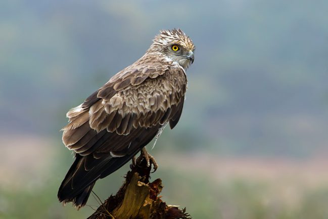 132232282950ea94c89f2c8