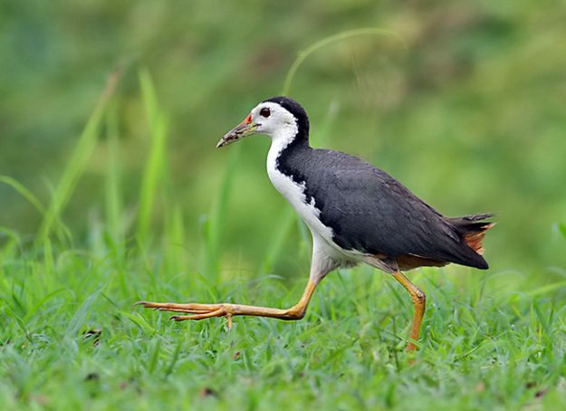 144580446.iFDZCC77.IMG_0757sm