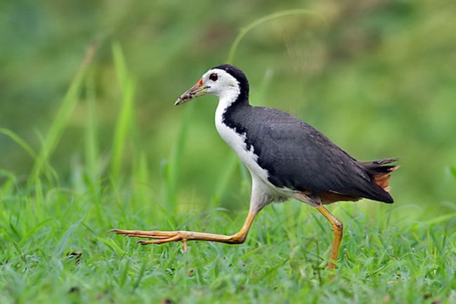 144580446.iFDZCC77.IMG_0757sm