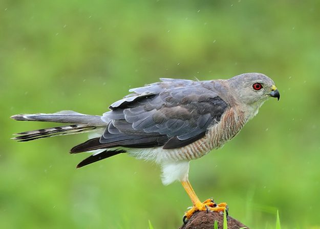 14688400644e5c7441f2556