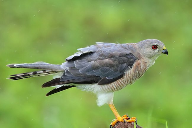 14688400644e5c7441f2556