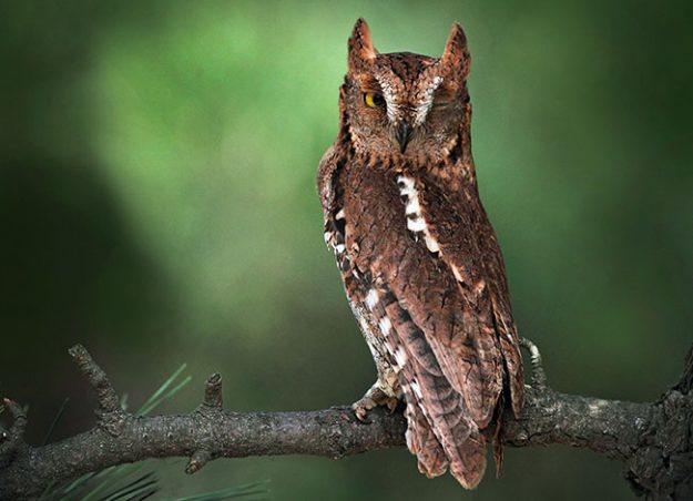 162839zvv6d4uvxdvir4uu