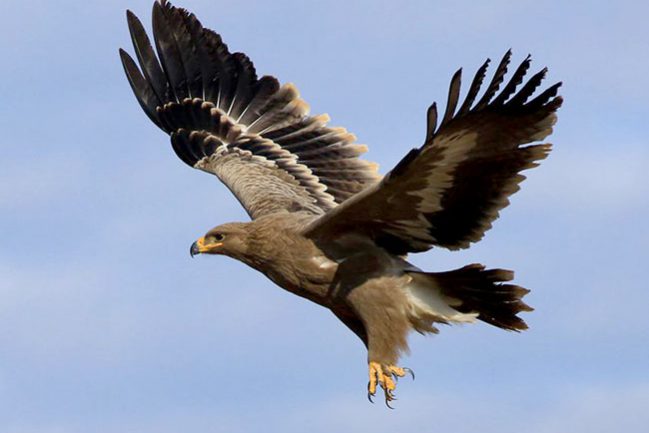 191448pfh6x5xhf5ufnfxm