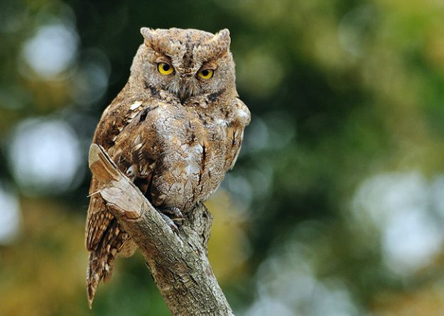 19890029_19890029_1366031769953