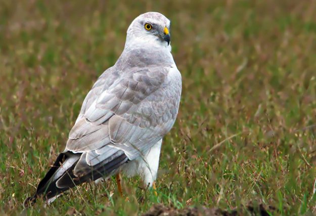 1990501319543f59c055e92