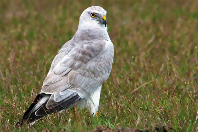 1990501319543f59c055e92