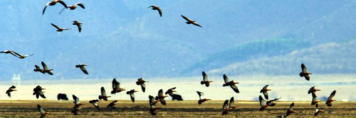 £ÛÉú̬£Ý£¨2£©ÊÀ½ç×ÔÈ»ÒŲúÃÀ¾°Èç»