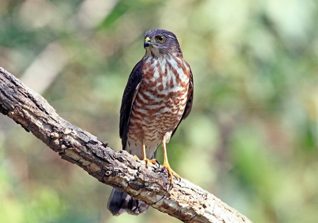 220810np21tkqqxgkpzkzs