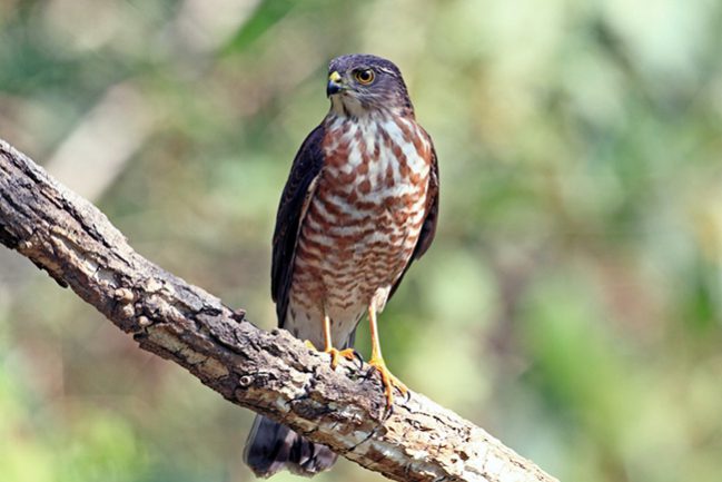 220810np21tkqqxgkpzkzs