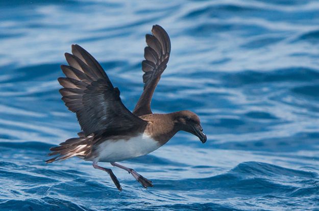 22670413300_0defe4b178_k