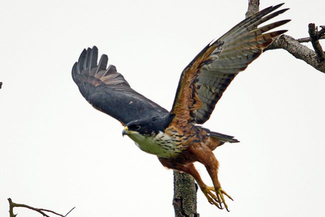 8901346765271b4f57cbef