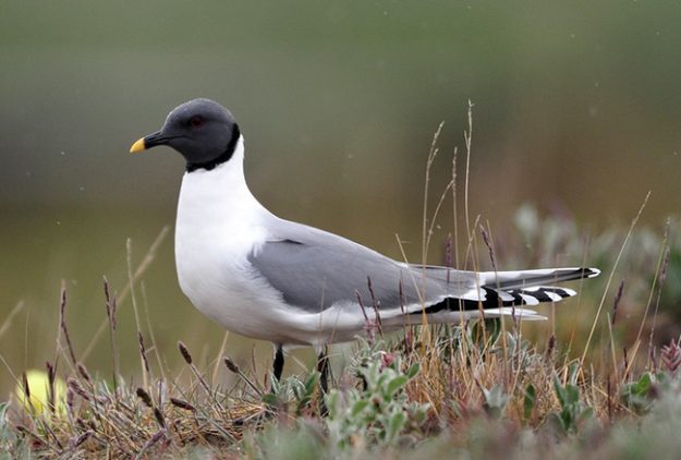 Foto10_S3S_1630_cr800x600