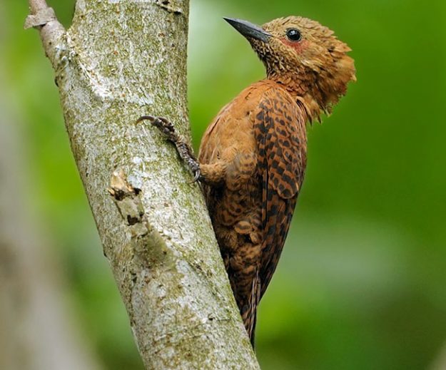 stock-photo-59136090