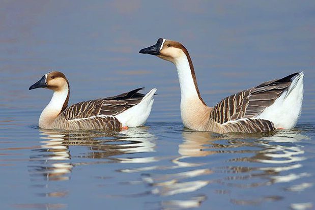 u=1944062325,3126637686&fm=214&gp=0