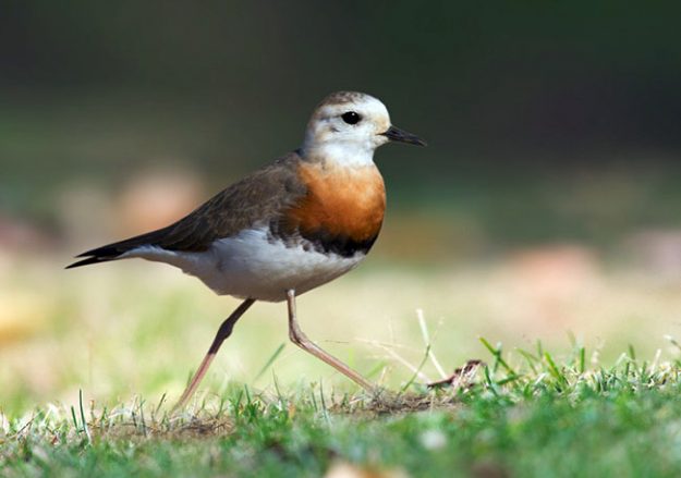 userid216308time20130409083558