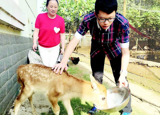 20160731084510115001